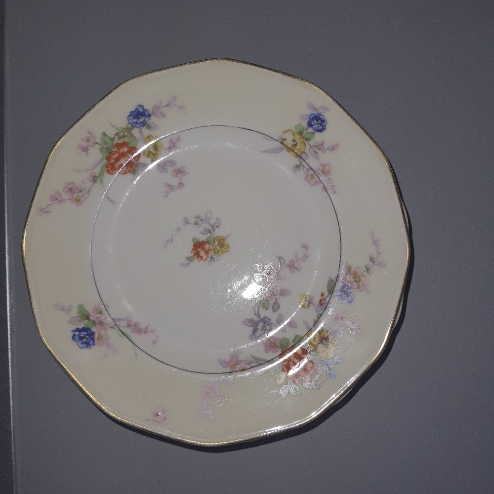 Theodore Haviland Limoges Salad Plates (6)